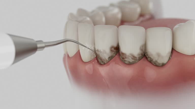 Reliable Dental contractor in East Bernard, TX by Dentist Open Now